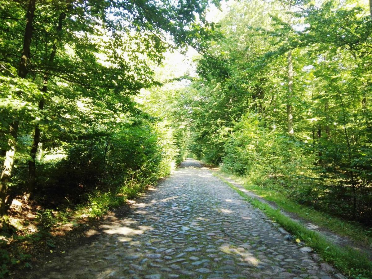 Agroturystyka Ginkgo Sulislaw  エクステリア 写真